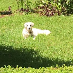 Meet your Posher, Clay